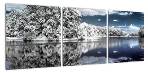 Zimní krajina - obraz (90x30cm)