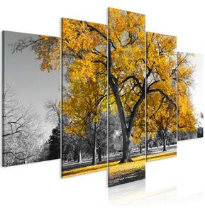 Malvis Pětidílný obraz žlutý strom Velikost: 100x50 cm