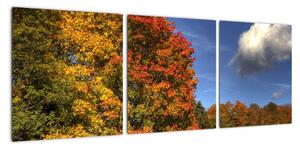Podzimní stromy - obraz (90x30cm)