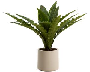 Kave Home Umělá květina Neottopteris 70 cm