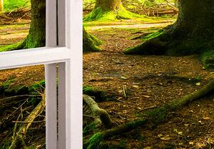Malvis Okno do lesa Velikost: 60x40 cm
