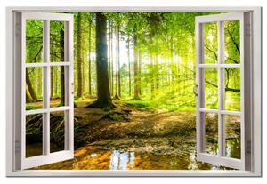 Malvis Okno do lesa Velikost: 90x60 cm