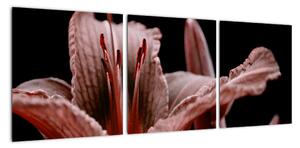Detail květiny - obraz (90x30cm)