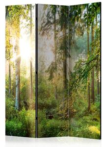 Paraván lesní tajemnství Velikost (šířka x výška): 225x172 cm