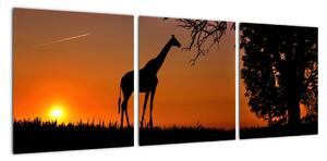 Obraz žirafy v přírodě (90x30cm)