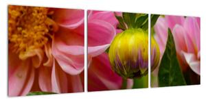 Obraz květu rostliny (90x30cm)
