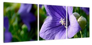 Květiny - obraz (90x30cm)