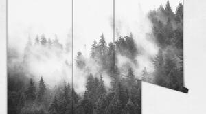 Fototapeta Tajemná mlha Samolepící 250x250cm