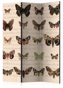 Paraván - Retro Style: Butterflies [Room Dividers]