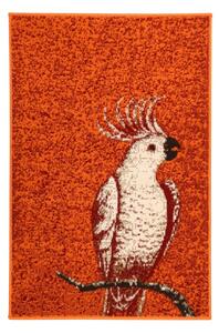 Alfa Carpets Kusový koberec Kakadu orange - 80x150 cm