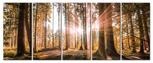 Obraz ráno v lese + háčky a hřebíčky ZDARMA Velikost (šířka x výška): 125x50 cm