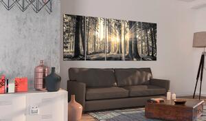 Murando DeLuxe Pětidílný obraz - les v paprscích Velikost: 200x80 cm