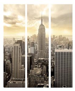 Paraván Manhattan Velikost (šířka x výška): 225x172 cm