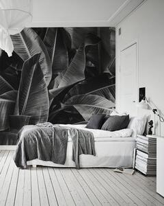 Fototapeta Odpočívejte ve stínu obřích listů Samolepící 250x250cm