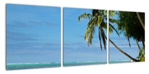 Fotka pláže - obraz (90x30cm)