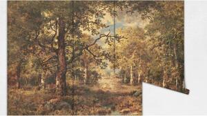 Fototapeta Podzimní ráno v lese Samolepící 250x250cm