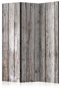 Paraván - Scandinavian Wood [Room Dividers]