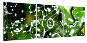 Kapky vody - obrazy (90x30cm)