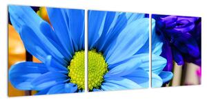 Modrá chryzantéma - obrazy (90x30cm)
