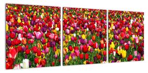 Obraz tulipánů (90x30cm)