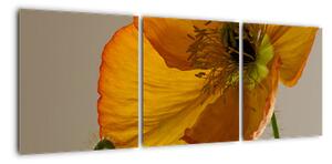 Žlutá květina - obraz (90x30cm)