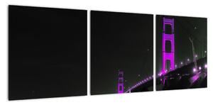 Golden Gate Bridge - obrazy (90x30cm)