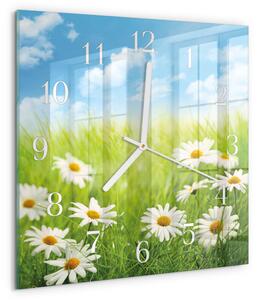 Skleněné hodiny Louka zskb-30x30-00087430