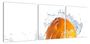 Obraz pomeranče (90x30cm)