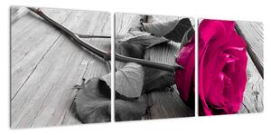 Růže fialová - obraz (90x30cm)