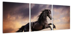 Kůň - obraz (90x30cm)