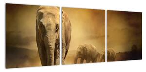 Obraz slona (90x30cm)
