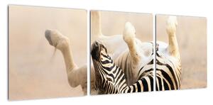 Obraz zebry (90x30cm)