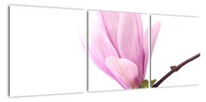 Květ - obraz (90x30cm)