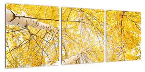 Podzimní listí - moderní obraz (90x30cm)