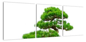 Bonsai - moderní obraz (90x30cm)