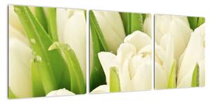 Detail tulipánů - obraz (90x30cm)