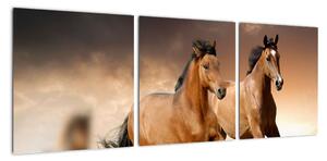 Koně - obraz (90x30cm)