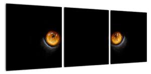 Zvířecí oči - obraz (90x30cm)