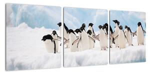Tučňáci - obraz (90x30cm)