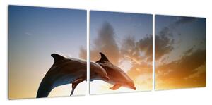 Delfíni - obraz (90x30cm)