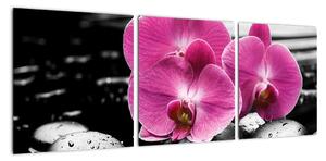 Obraz orchidejí (90x30cm)