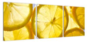 Plátky citrónů - obraz (90x30cm)