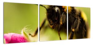 Včela - obraz (90x30cm)