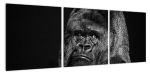 Obraz opice (90x30cm)
