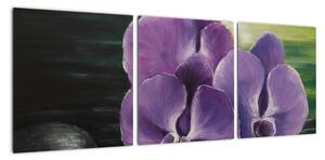 Obraz květů orchideje (90x30cm)