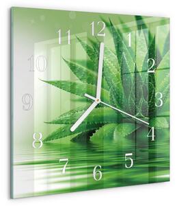 Skleněné hodiny Aloe zskb-30x30-00083793