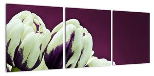 Makro tulipánů - obraz (90x30cm)
