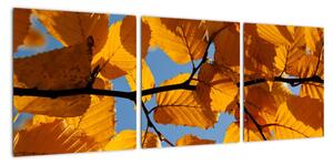 Podzimní listí - obraz (90x30cm)