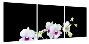 Květina - obraz (90x30cm)