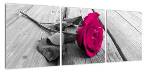 Obrazy květin - růže (90x30cm)
